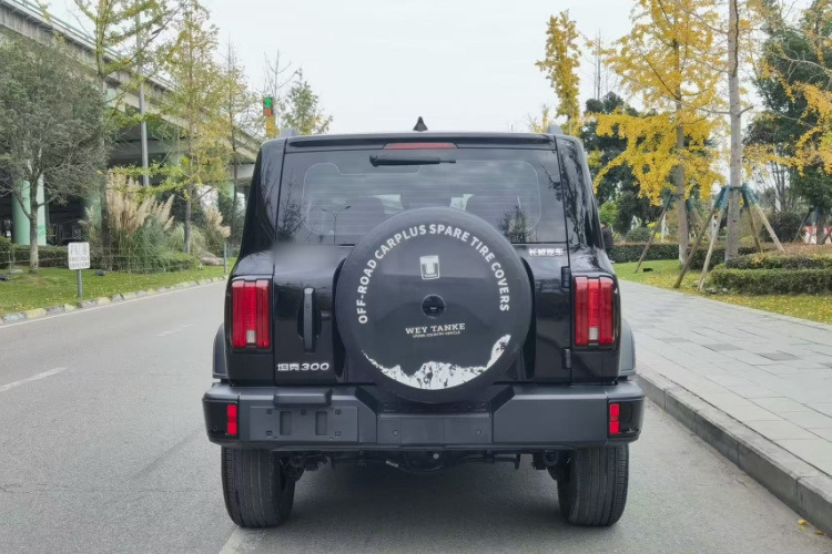 坦克300 2024款 2.0T 征服者车身外观6005