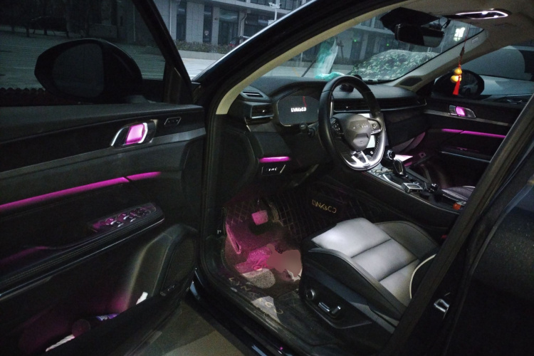 领克01 2021款 2.0TD 两驱型Pro中控内饰20