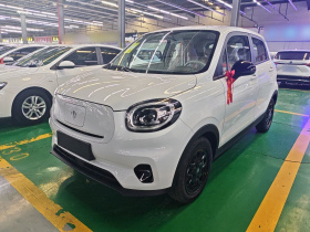 零跑汽车 零跑T03 2025款 310舒享版