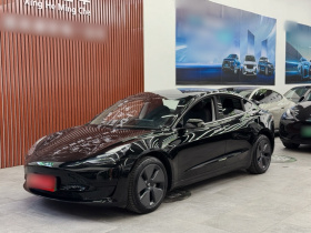 特斯拉 Model 3 2022款 后轮驱动版