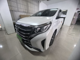 广汽传祺 传祺M8 2024款 领秀系列 390T 豪华版