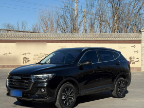 哈弗H6 2021款 国潮版 1.5T 自动都市版