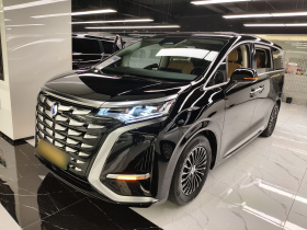 腾势D9 2024款 DM-i 980 四驱尊贵型