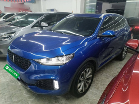 魏牌 VV6 2018款 2.0T 两驱旗舰型 国V