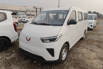 五菱汽车 五菱扬光 2024款 300KM 舒适型客车版 75kW