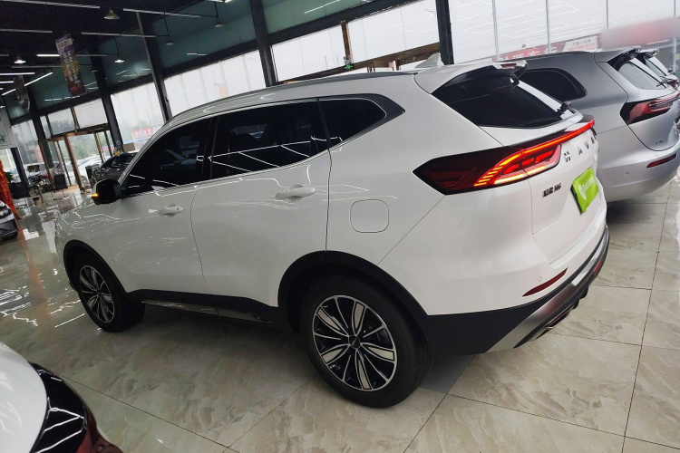 哈弗H6 2023款 国潮版 1.5T 自动冠军版车身外观4