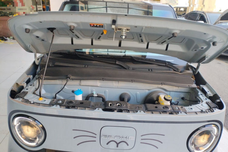 吉利银河 2024款 熊猫mini 200km 龙腾版机舱底盘24