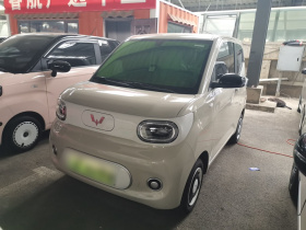 五菱汽车 宏光MINIEV 2024款 第三代 215km 青春版