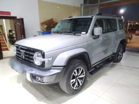 坦克300 2021款 城市版 2.0T 很有型