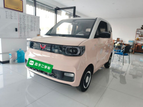 五菱汽车 宏光MINIEV 2021款 马卡龙臻享款 三元锂