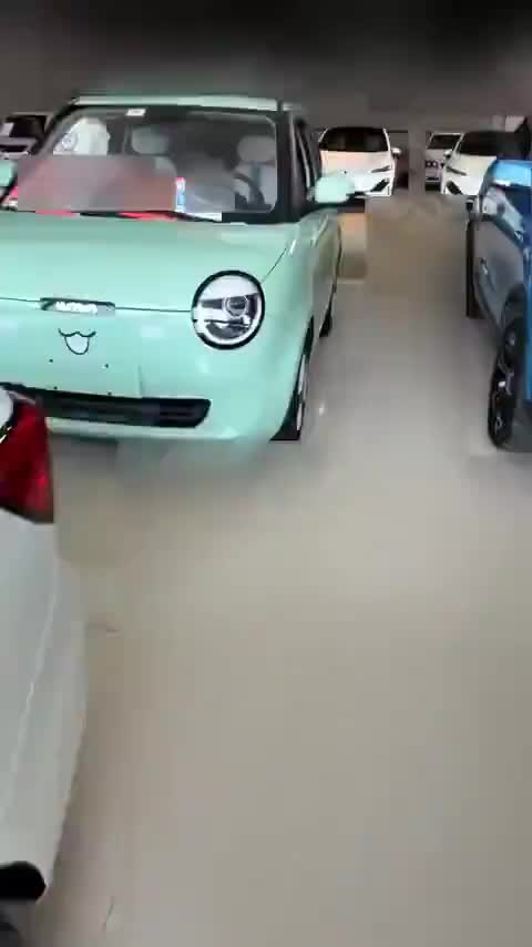 长安启源 长安Lumin 2022款 210km 香甜款讲解1