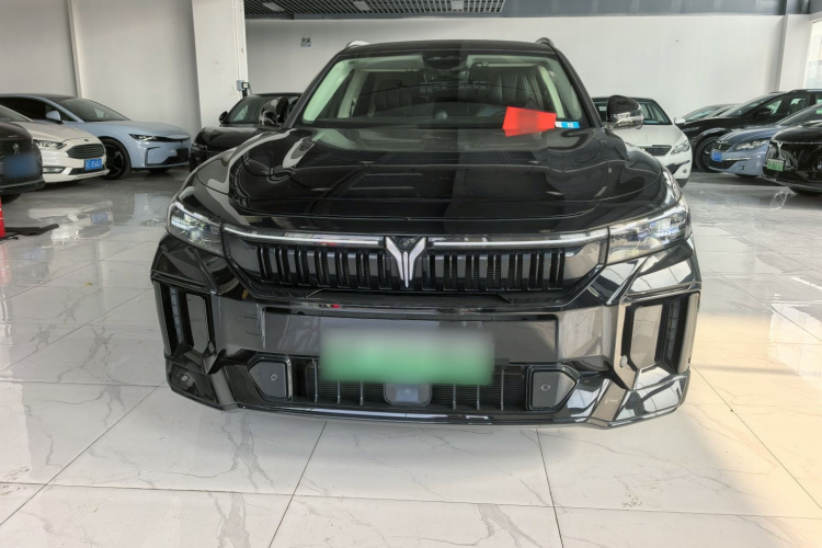 岚图汽车 岚图FREE 2024款 超长续航智驾版车身外观6002