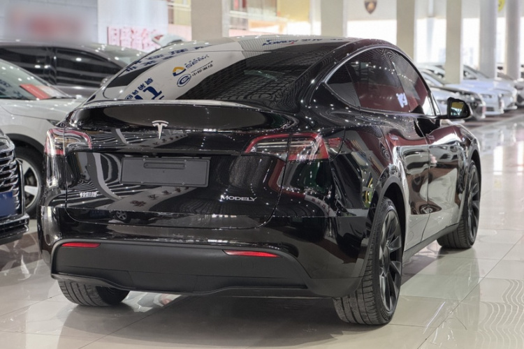 特斯拉 Model Y 2021款 标准续航后驱版车身外观6004
