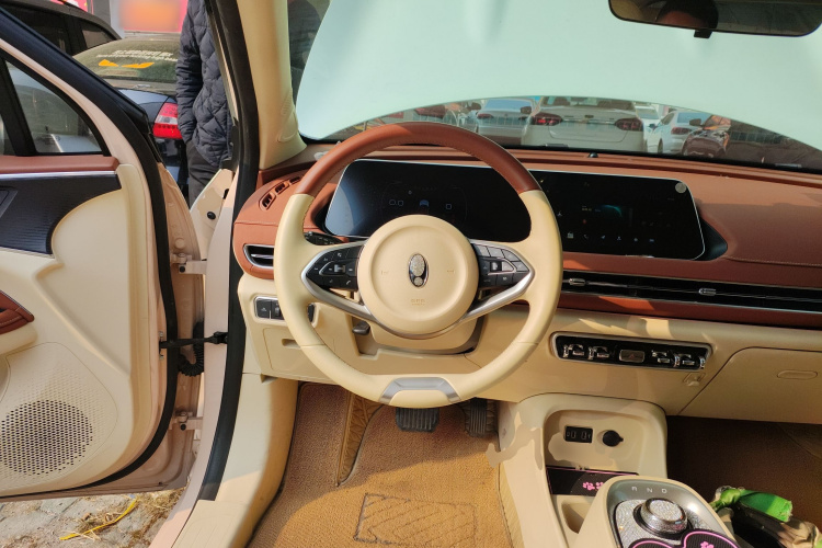 欧拉好猫 2021款 400km标准续航 维纳斯版 三元锂局部细节13