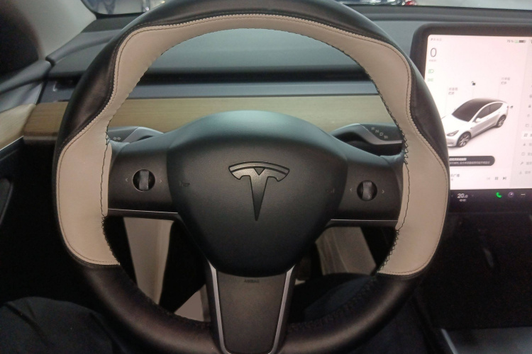 特斯拉 Model Y 2021款 标准续航后驱版局部细节13