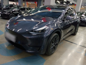 特斯拉 Model Y 2024款 后轮驱动版