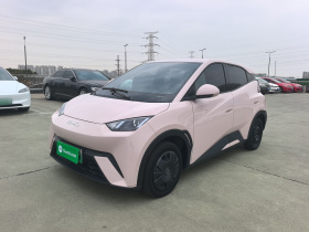 比亚迪 海鸥 2024款 荣耀版 305km 自由版