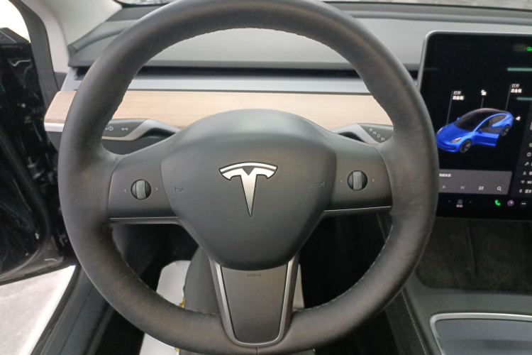 特斯拉 Model 3 2021款 标准续航后驱升级版 3D6局部细节13