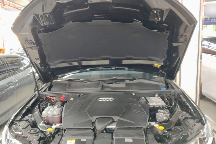 奥迪Q7 2023款 55 TFSI quattro S line运动型机舱底盘24