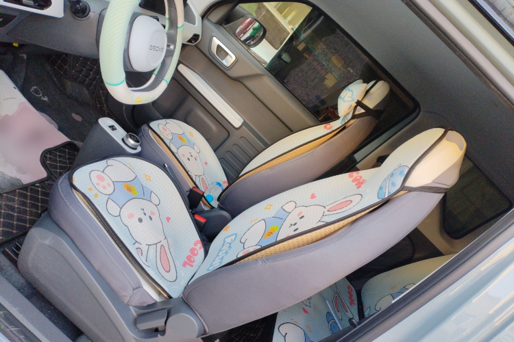 吉利银河 2024款 熊猫mini 200km 龙腾版中控内饰19