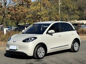 五菱汽车 五菱缤果 2023款 333km 快享款