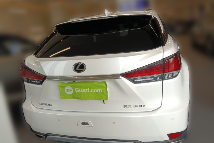 雷克萨斯RX 2020款 300 四驱典雅版 国VI车身外观6