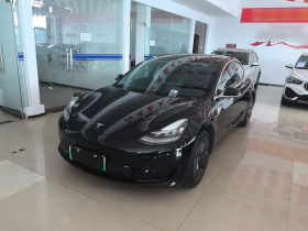 特斯拉 Model 3 2020款 改款 标准续航后驱升级版