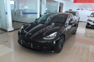 特斯拉 Model 3 2020款 改款 标准续航后驱升级版