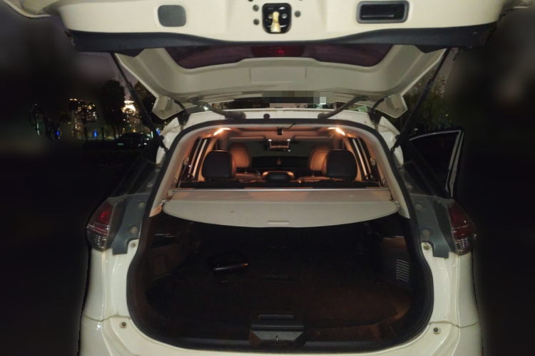 日产 奇骏 2014款 2.0L CVT智领版 2WD局部细节23