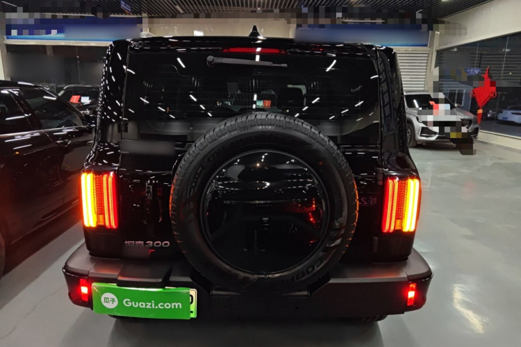 坦克300新能源 2024款 Hi4-T车身外观6004