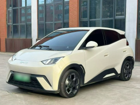 比亚迪 海鸥 2023款 飞翔版