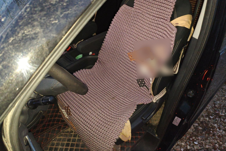 江淮瑞风 瑞风M3 2023款 PLUS 1.8L 9座智联版中控内饰19