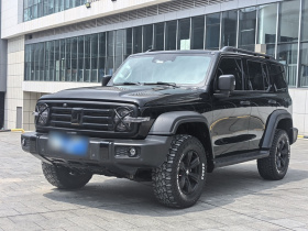 坦克300 2024款 2.0T 征服者