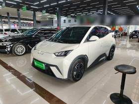 比亚迪 海鸥 2023款 自由版