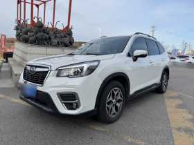 斯巴鲁 森林人 2019款 2.0i 豪华版EyeSight