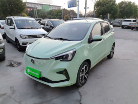 长安欧尚 奔奔E-Star 2022款 清心版 多彩款 磷酸铁锂