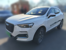 哈弗F5 2019款 国潮版 1.5T i潮 国V