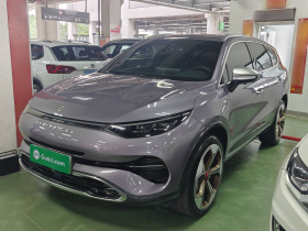 腾势X 2020款 PHEV旗舰版