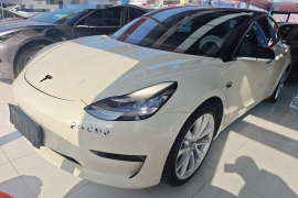 特斯拉 Model 3 2020款 标准续航后驱升级版