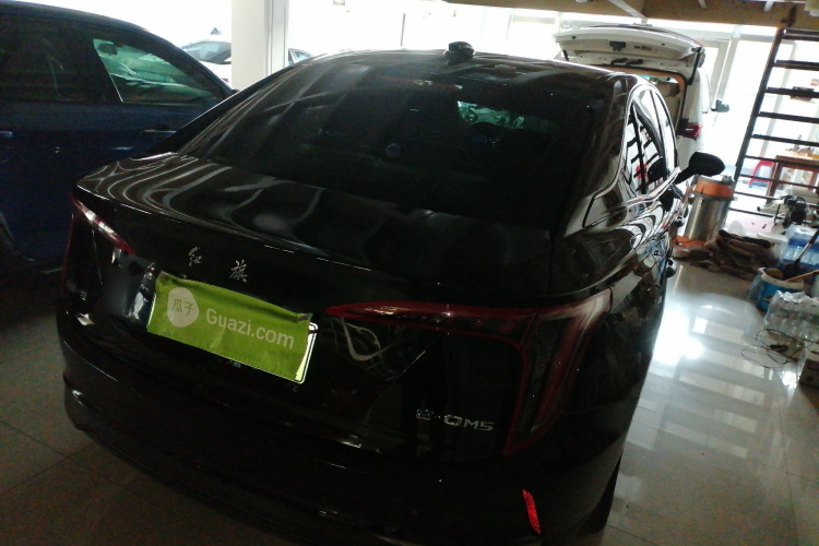 红旗E-QM5 2021款 网约充电 基础版 5座车身外观6005