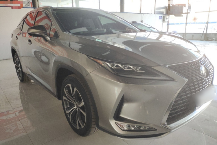 雷克萨斯RX 2020款 改款 300 四驱典雅版车身外观3