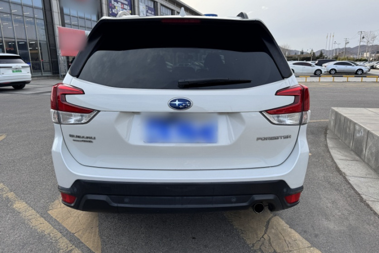 斯巴鲁 森林人 2019款 2.0i 豪华版EyeSight车身外观6003