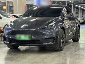 特斯拉 Model Y 2024款 后轮驱动版