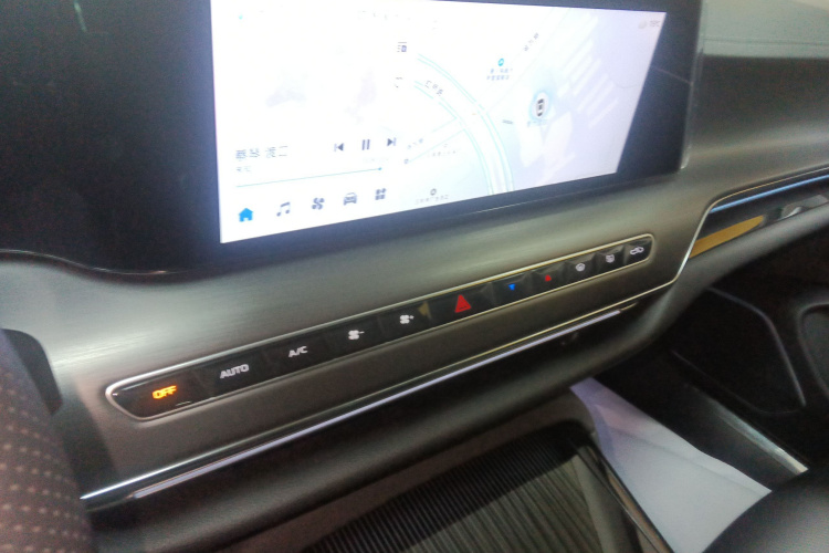 红旗H9 2024款 2.0T 旗畅 私享风尚版局部细节16