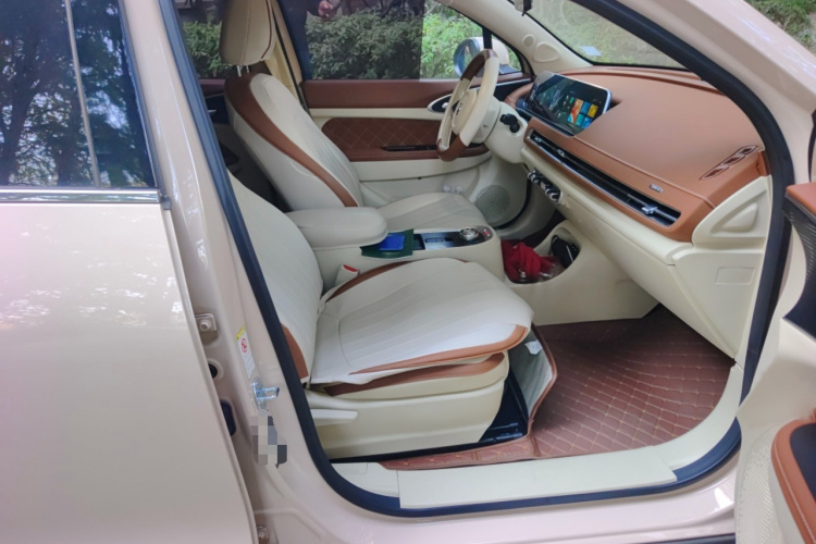 欧拉好猫 2022款 400km标准续航 豪华型 磷酸铁锂局部细节9005