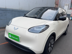 五菱汽车 五菱缤果 2025款 333km 灵犀尊享款