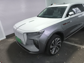 红旗E-HS9 2021款 510km 旗领版 四座