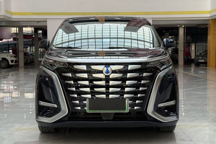 腾势D9 2024款 DM-i 980 四驱旗舰型车身外观6007