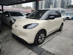 五菱汽车 五菱缤果 2025款 333km 灵犀互联款