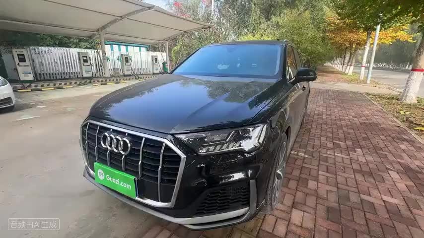 奥迪Q7 2023款 55 TFSI quattro S line运动型检测视频1
